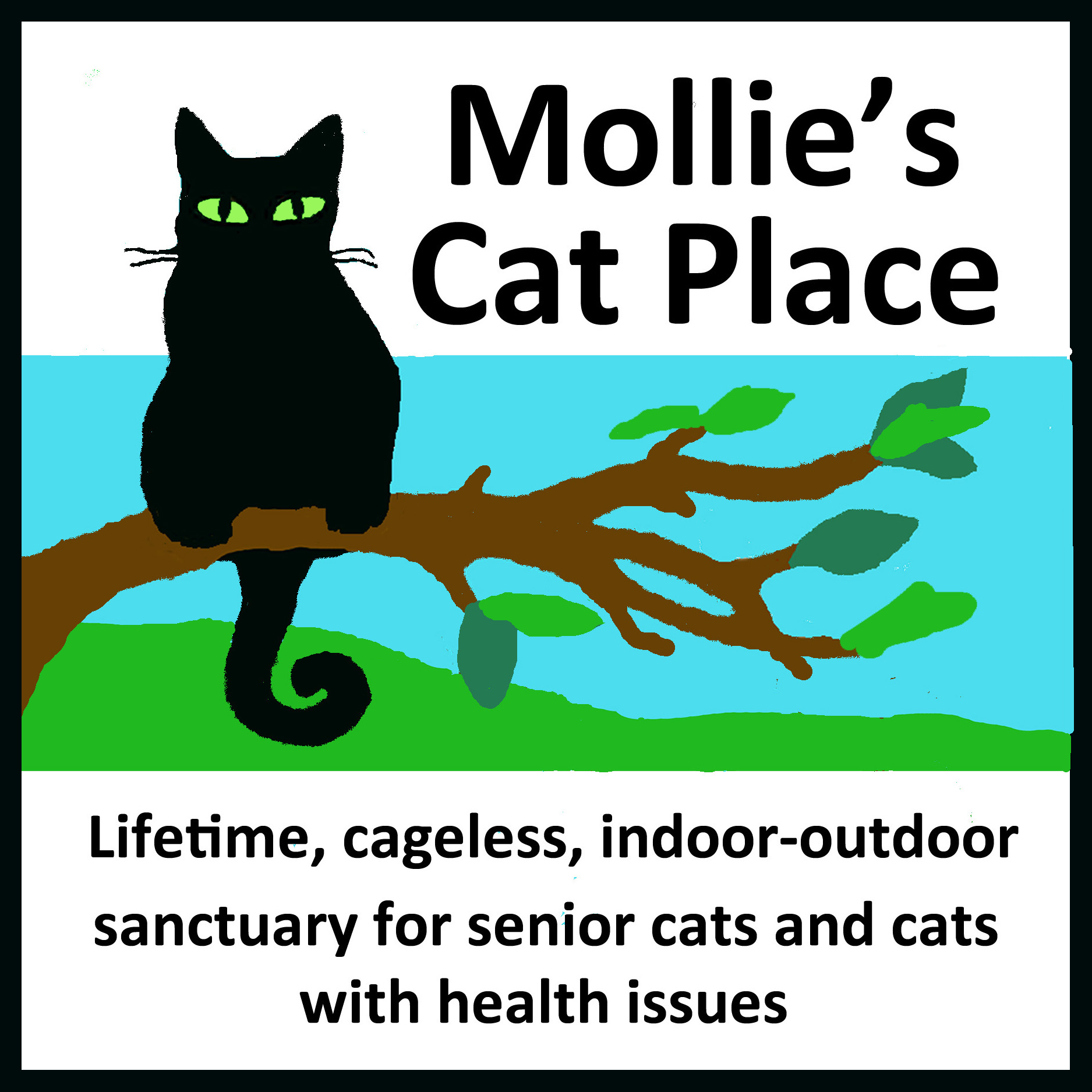 Mollie's Cat Place