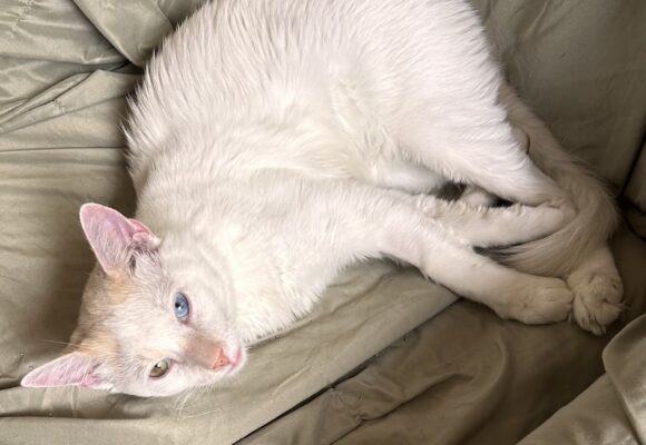 Esteban