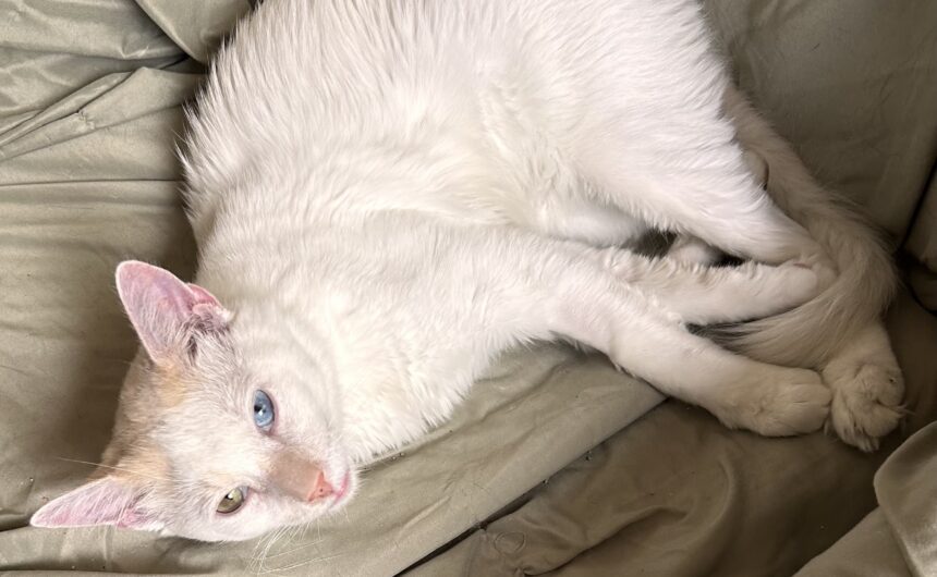Esteban